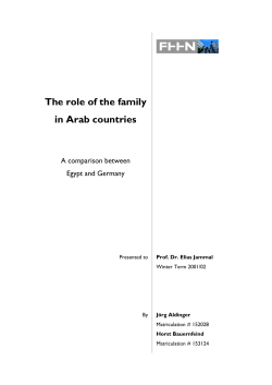 The role of the family in Arab countries