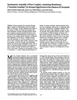 Spontaneous Assembly of Pore Complex