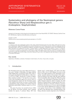 Systematics and phylogeny of the Neotropical genera Pescolinus