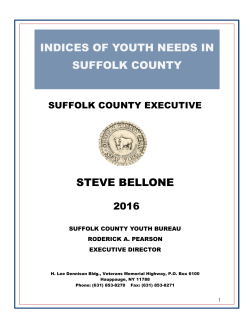 INDICES OF YOUTH NEEDS IN SUFFOLK COUNTY STEVE