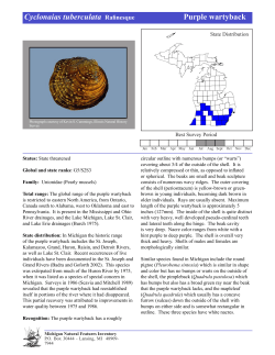 Cyclonaias tuberculata Rafinesque Purple wartyback