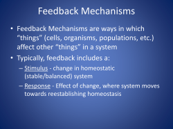 Feedback Mechanisms