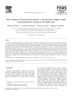 Diel changes in bacteriochlorophyll a concentration suggest rapid
