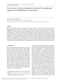 Coat colour in mouse populations selected for weight gain: support