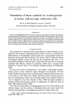 Stimulation of haem synthesis by erythropoietin in