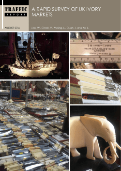 A rapid survey of UK ivory markets