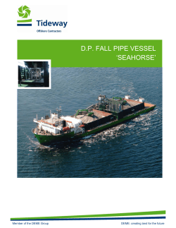 dp fall pipe vessel `seahorse`