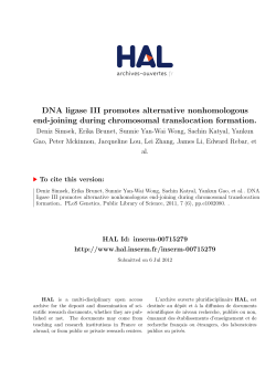 DNA ligase III promotes alternative nonhomologous end