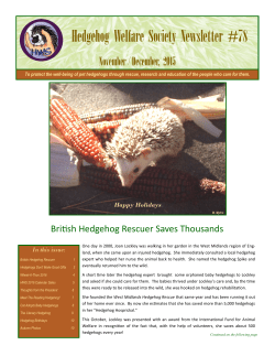 HWS Newsletter Volume 78 - Hedgehog Welfare Society