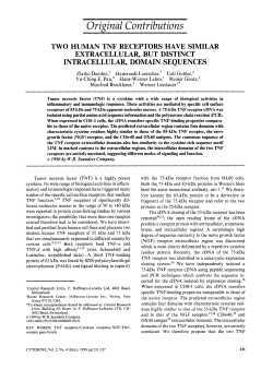Original Contributions