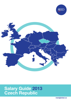 Salary Guide 2013 Czech Republic