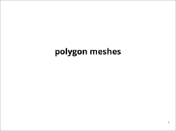 polygon meshes