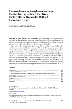 Endosymbioses in Sacoglossan Seaslugs: Plastid