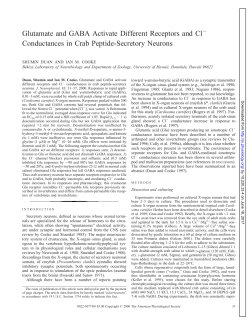 Glutamate and GABA Activate Different Receptors and Cl