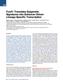 PDF - Research Computing