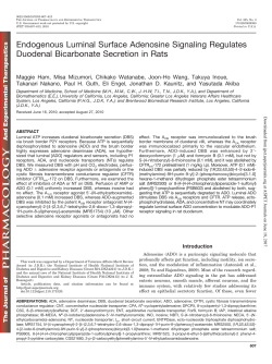 Endogenous Luminal Surface Adenosine Signaling Regulates