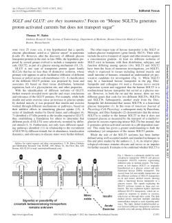 SGLT and GLUT: are they teammates? Focus on &ldquo;Mouse - AJP-Cell