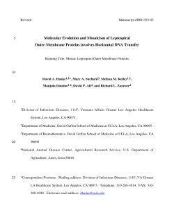 Molecular Evolution and Mosaicism of Leptospiral Outer Membrane