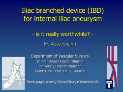 Iliac branch for internal iliac aneurysm