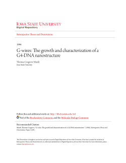 G-wires: The growth and characterization of a G4