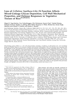 Loss of Cellulose Synthase-Like F6 Function