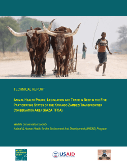 Animal Health Policy, Legislation and Trade in Beef in the - wcs