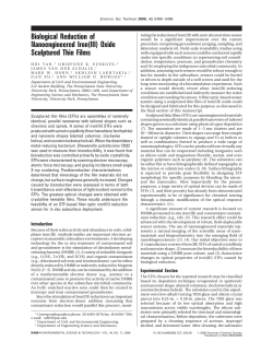 Biological Reduction of Nanoengineered Iron(III) Oxide Sculptured