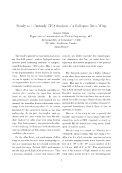 Steady and Unsteady CFD Analysis of a Half