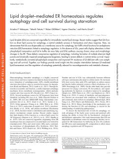Lipid droplet–mediated ER homeostasis regulates autophagy and