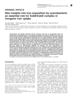 New insights into iron acquisition by cyanobacteria: an essential role