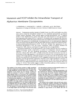 Monensin and FCCP Inhibit the Intracellular Transport of Alphavirus