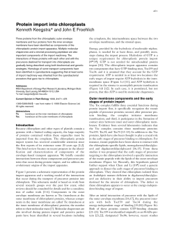 Protein import into chloroplasts Kenneth Keegstra* and John E