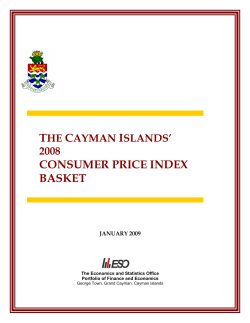 2008 Consumer Price Index (CPI) Basket Report