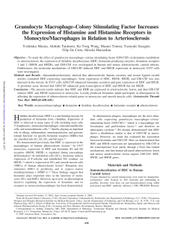Granulocyte Macrophage&ndash;Colony Stimulating Factor Increases the