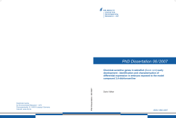 PhD Dissertation 06 / 2007