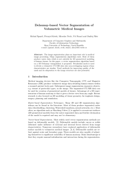 Delaunay-based Vector Segmentation of Volumetric Medical Images