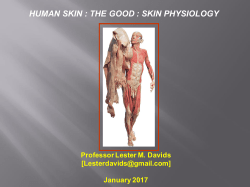 HUMAN SKIN : THE GOOD : SKIN PHYSIOLOGY