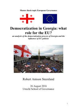 Democratization in Georgia: what role for the EU?