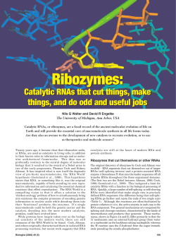 Ribozymes - University of Michigan