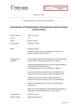 Quantification of histopathology in Haemotoxylin and