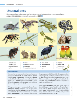 Unusual pets - Spotlight Online