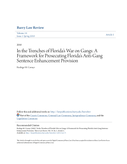 A Framework for Prosecuting Florida`s Anti-Gang Sentence