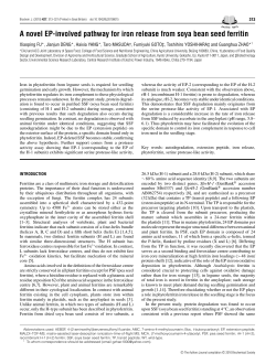 A novel EP-involved pathway for iron release from soya bean seed