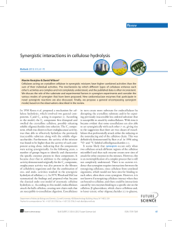 Synergistic interactions in cellulose hydrolysis