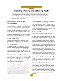 Choosing a Variety and obtaining Poults