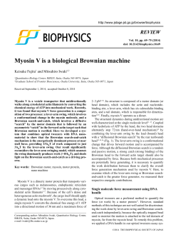 Myosin V is a biological Brownian machine - J