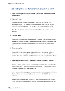 e) Trading blocs and the World Trade Organisation (WTO)
