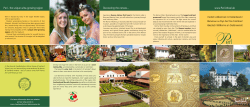 Perl - the unique wine-growing region Discovering the romans