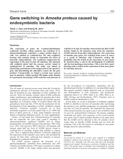Gene switching in Amoeba proteus caused by endosymbiotic bacteria