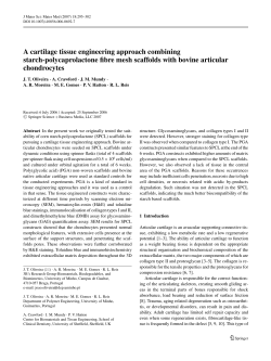 A cartilage tissue engineering approach combining starch